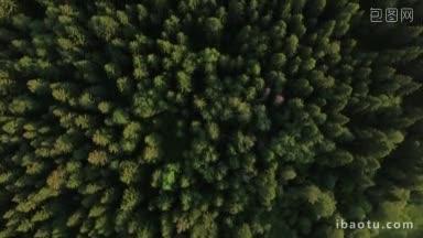 俄罗斯的绿色树林、乡村道路和避暑别墅鸟瞰图